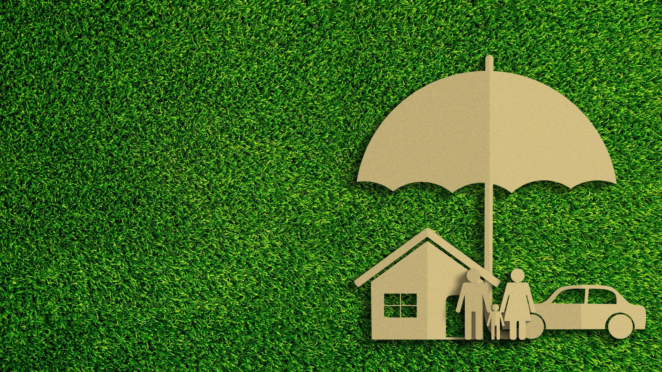 Paper cut of insurance concept on green grass background.